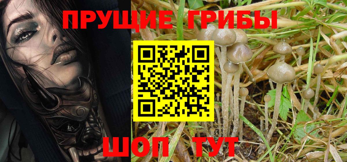 Галлюциногенные грибы Psilocybine cubensis  Вход с VPN  Новотроицк  наркотики  Галлюциногенные грибы мухоморы 
