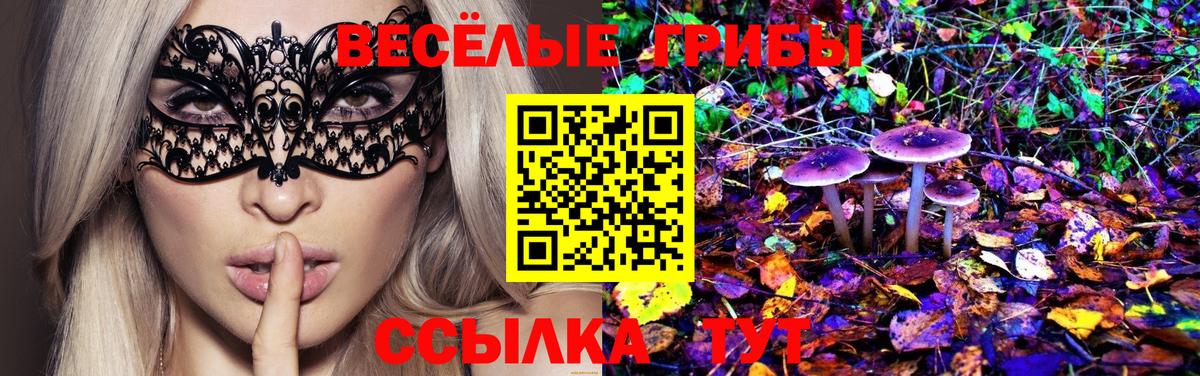 Псилоцибиновые грибы Psilocybine cubensis Новотроицк
